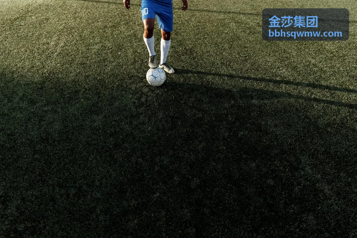 金莎集团改造项目案例